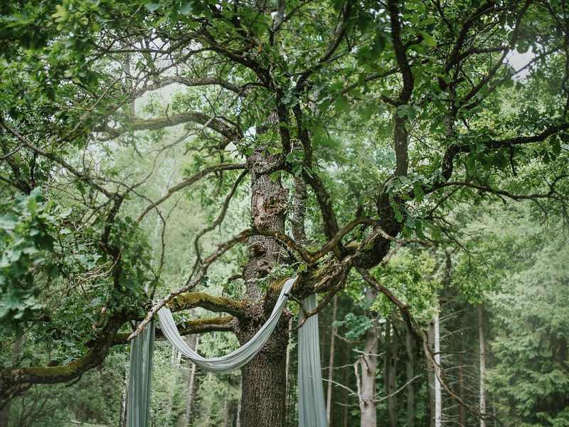 vestuves food in the wood